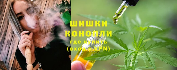 ПСИЛОЦИБИНОВЫЕ ГРИБЫ Белокуриха