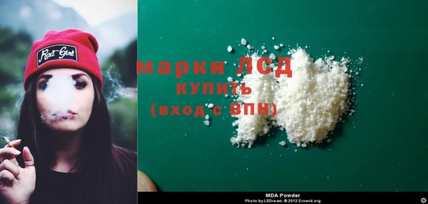 ПСИЛОЦИБИНОВЫЕ ГРИБЫ Белокуриха