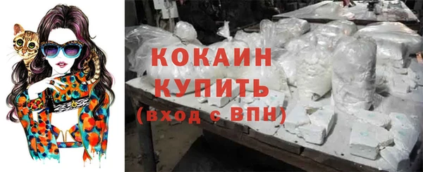тгк Беломорск