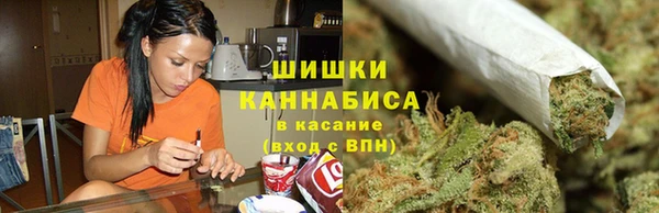 ПСИЛОЦИБИНОВЫЕ ГРИБЫ Белокуриха